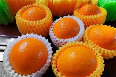 泡沫箱廠家案例-果蔬儲(chǔ)存運(yùn)輸